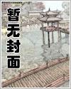 铁王之王封面
